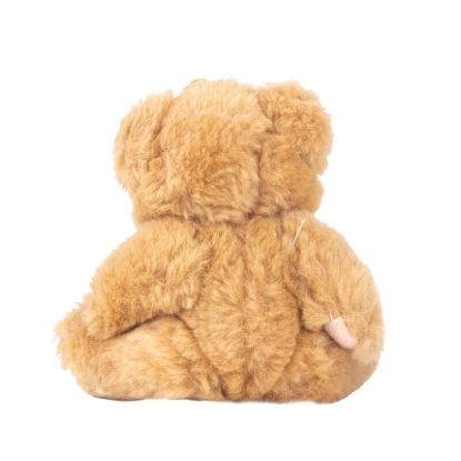 Plush Bear Buddy